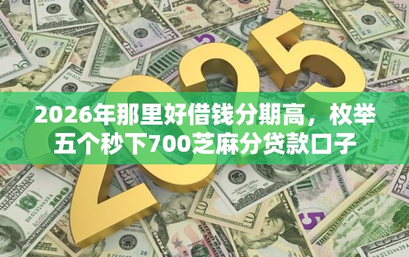 2026年那里好借钱分期高，枚举五个秒下700芝麻分贷款口子