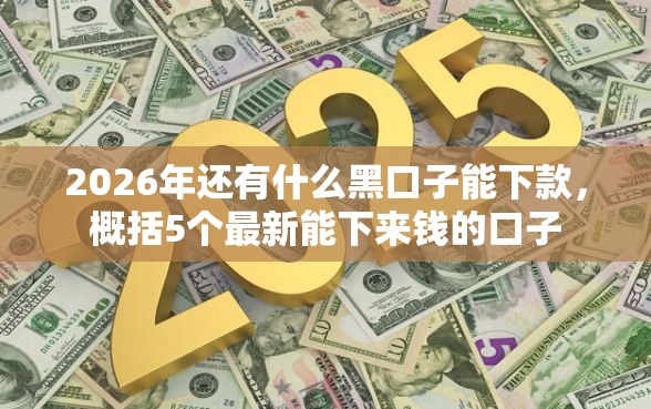 2026年还有什么黑口子能下款，概括5个最新能下来钱的口子