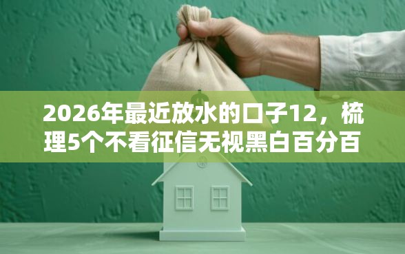 2026年最近放水的口子12，梳理5个不看征信无视黑白百分百下款