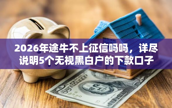2026年途牛不上征信吗吗，详尽说明5个无视黑白户的下款口子