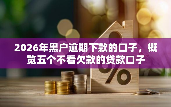 2026年黑户逾期下款的口子，概览五个不看欠款的贷款口子