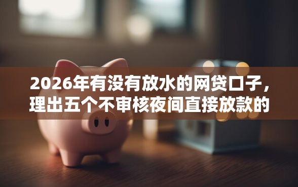 2026年有没有放水的网贷口子，理出五个不审核夜间直接放款的网贷平台