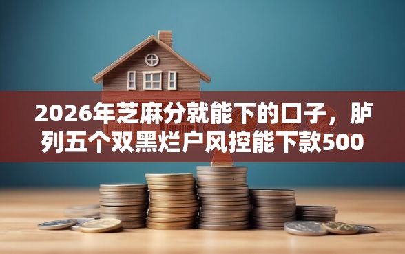 2026年芝麻分就能下的口子，胪列五个双黑烂户风控能下款5000口子