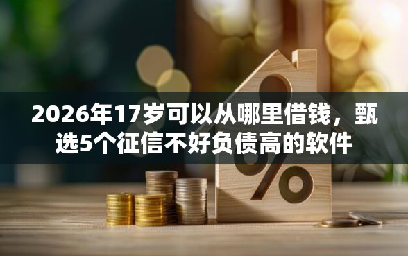 2026年17岁可以从哪里借钱，甄选5个征信不好负债高的软件