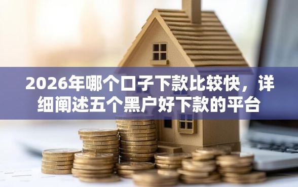 2026年哪个口子下款比较快，详细阐述五个黑户好下款的平台