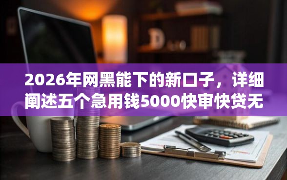 2026年网黑能下的新口子，详细阐述五个急用钱5000快审快贷无需征信app