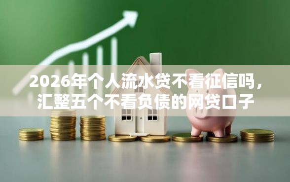 2026年个人流水贷不看征信吗，汇整五个不看负债的网贷口子