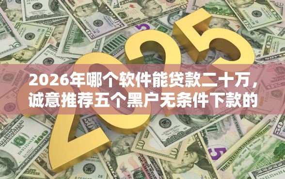 2026年哪个软件能贷款二十万，诚意推荐五个黑户无条件下款的软件