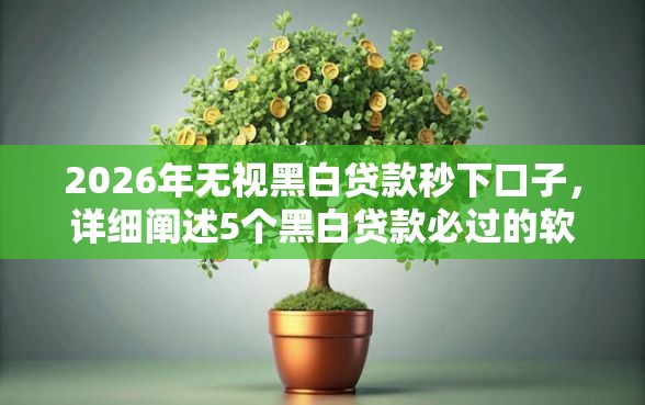 2026年无视黑白贷款秒下口子，详细阐述5个黑白贷款必过的软件
