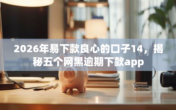 2026年易下款良心的口子14，揭秘五个网黑逾期下款app