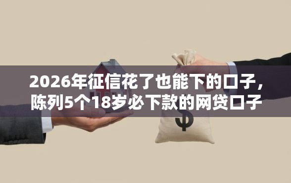 2026年征信花了也能下的口子，陈列5个18岁必下款的网贷口子