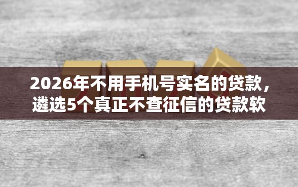 2026年不用手机号实名的贷款，遴选5个真正不查征信的贷款软件