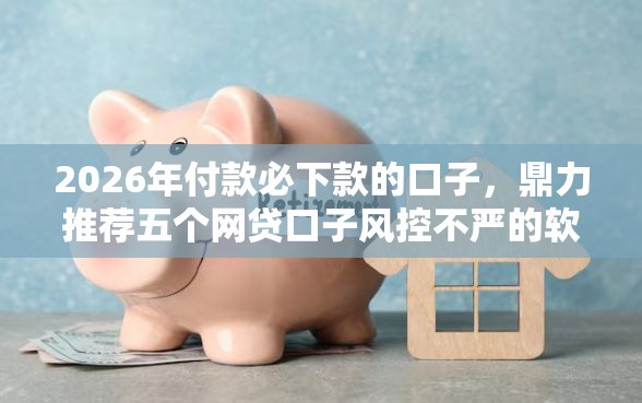 2026年付款必下款的口子，鼎力推荐五个网贷口子风控不严的软件