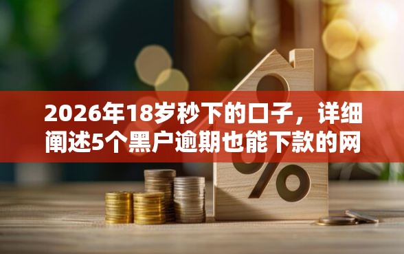 2026年18岁秒下的口子，详细阐述5个黑户逾期也能下款的网贷