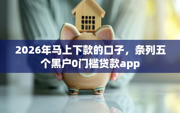 2026年马上下款的口子，条列五个黑户0门槛贷款app