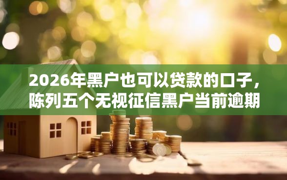 2026年黑户也可以贷款的口子，陈列五个无视征信黑户当前逾期必下款的口子
