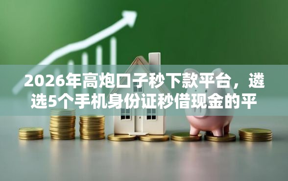 2026年高炮口子秒下款平台，遴选5个手机身份证秒借现金的平台