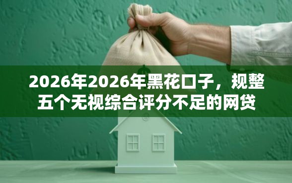 2026年2026年黑花口子，规整五个无视综合评分不足的网贷