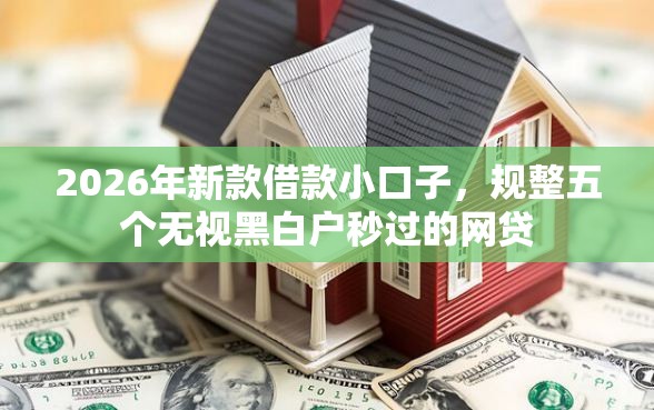 2026年新款借款小口子，规整五个无视黑白户秒过的网贷