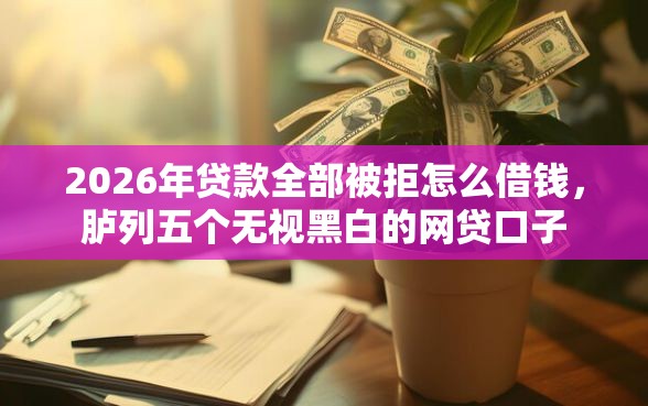 2026年贷款全部被拒怎么借钱，胪列五个无视黑白的网贷口子