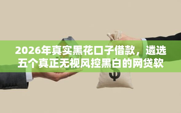 2026年真实黑花口子借款，遴选五个真正无视风控黑白的网贷软件