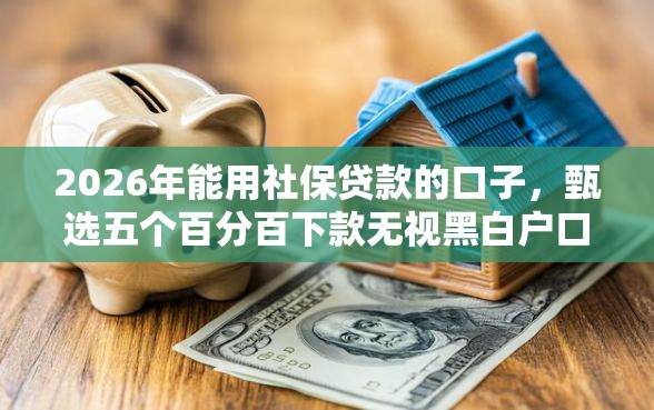 2026年能用社保贷款的口子，甄选五个百分百下款无视黑白户口子