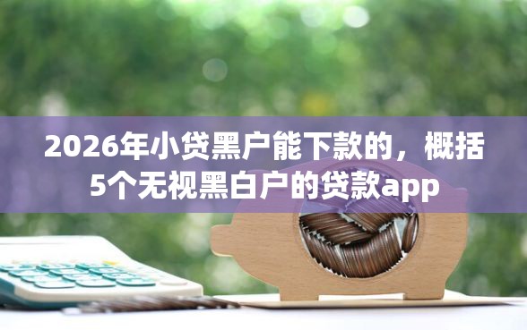 2026年小贷黑户能下款的，概括5个无视黑白户的贷款app