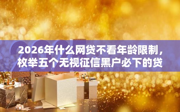 2026年什么网贷不看年龄限制，枚举五个无视征信黑户必下的贷款口子
