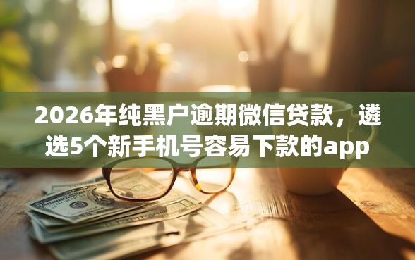2026年纯黑户逾期微信贷款，遴选5个新手机号容易下款的app