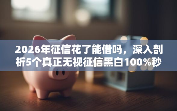 2026年征信花了能借吗，深入剖析5个真正无视征信黑白100%秒下网贷