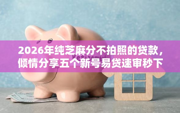 2026年纯芝麻分不拍照的贷款，倾情分享五个新号易贷速审秒下款口子