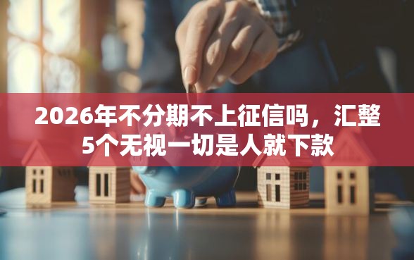 2026年不分期不上征信吗，汇整5个无视一切是人就下款