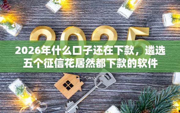 2026年什么口子还在下款，遴选五个征信花居然都下款的软件