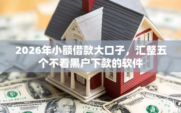 2026年小额借款大口子，汇整五个不看黑户下款的软件