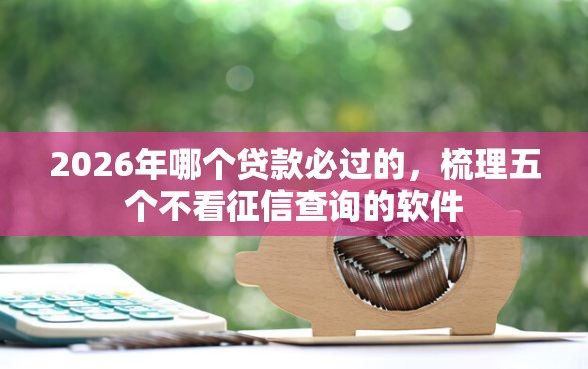 2026年哪个贷款必过的，梳理五个不看征信查询的软件