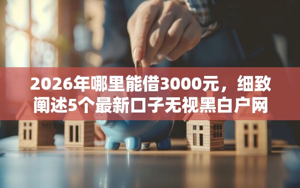 2026年哪里能借3000元，细致阐述5个最新口子无视黑白户网贷