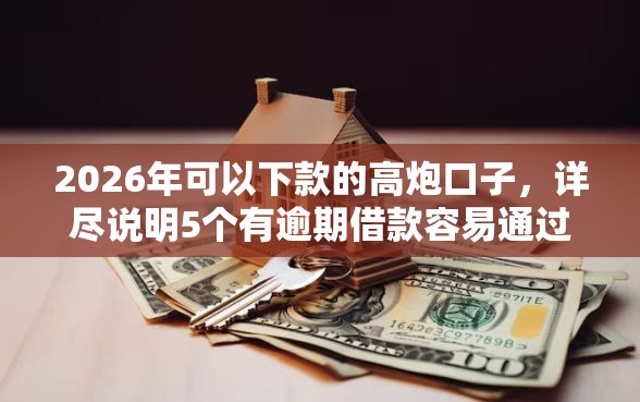 2026年可以下款的高炮口子，详尽说明5个有逾期借款容易通过的平台