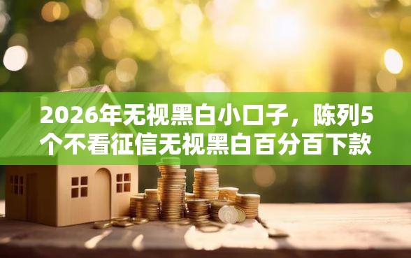 2026年无视黑白小口子，陈列5个不看征信无视黑白百分百下款网贷平台