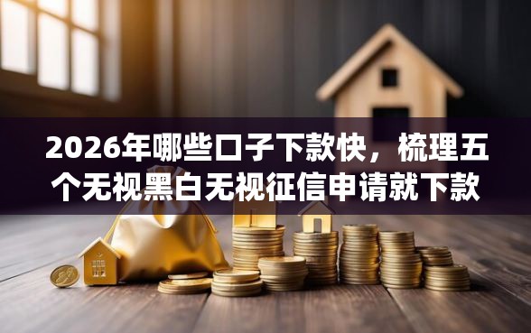 2026年哪些口子下款快，梳理五个无视黑白无视征信申请就下款的app