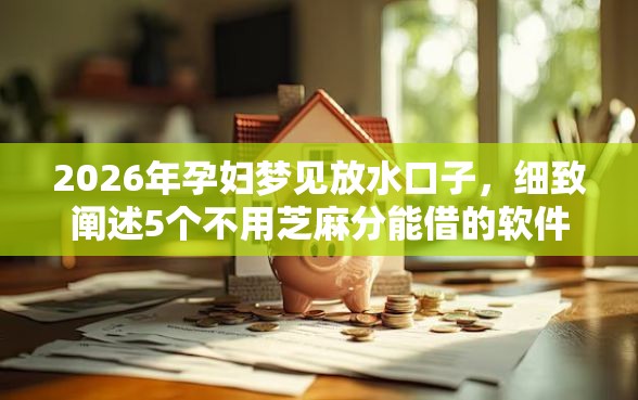 2026年孕妇梦见放水口子，细致阐述5个不用芝麻分能借的软件