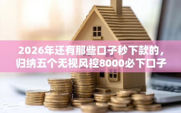 2026年还有那些口子秒下款的，归纳五个无视风控8000必下口子