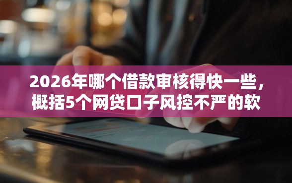 2026年哪个借款审核得快一些，概括5个网贷口子风控不严的软件