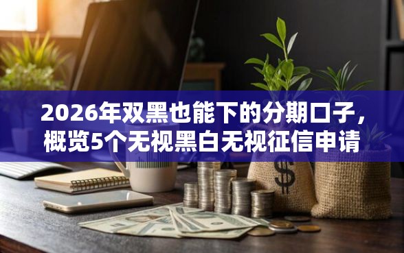 2026年双黑也能下的分期口子，概览5个无视黑白无视征信申请就下款的平台