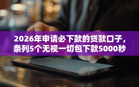 2026年申请必下款的贷款口子，条列5个无视一切包下款5000秒下款的口子