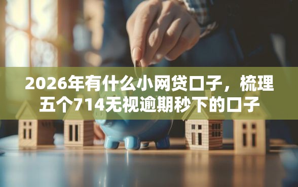 2026年有什么小网贷口子，梳理五个714无视逾期秒下的口子