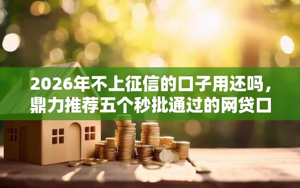 2026年不上征信的口子用还吗，鼎力推荐五个秒批通过的网贷口子