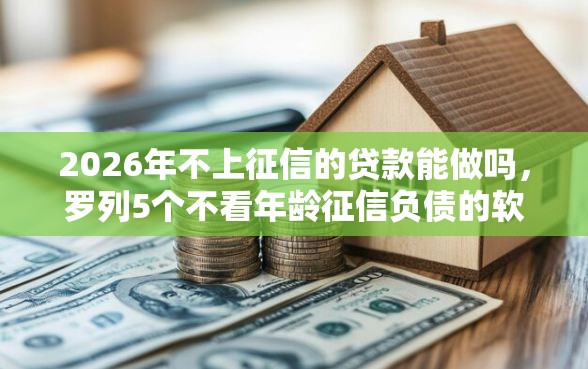 2026年不上征信的贷款能做吗，罗列5个不看年龄征信负债的软件
