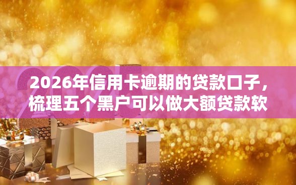 2026年信用卡逾期的贷款口子，梳理五个黑户可以做大额贷款软件