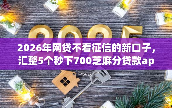 2026年网贷不看征信的新口子，汇整5个秒下700芝麻分贷款app