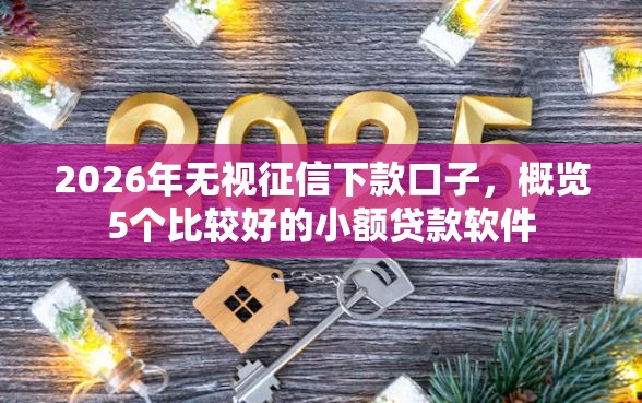 2026年无视征信下款口子，概览5个比较好的小额贷款软件